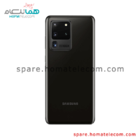 Back Frame - Samsung Galaxy S20 Ultra (LTE)